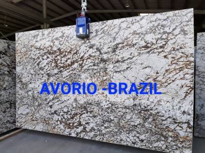 Avorio Brazil